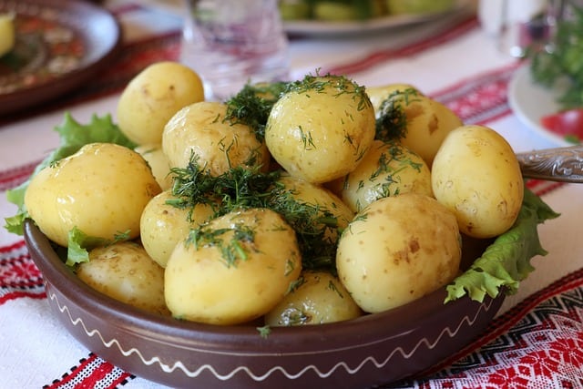 Enjoying Delicious and Nutritious Meals 1 2652561