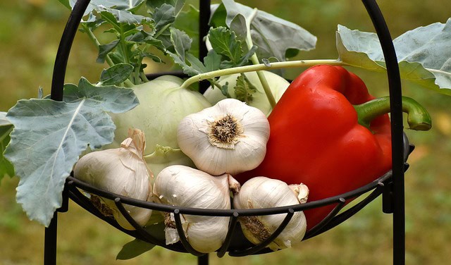 Simplify and Savor: Expert Tips for Enjoying Delicious and Healthy Meals 1 3483066