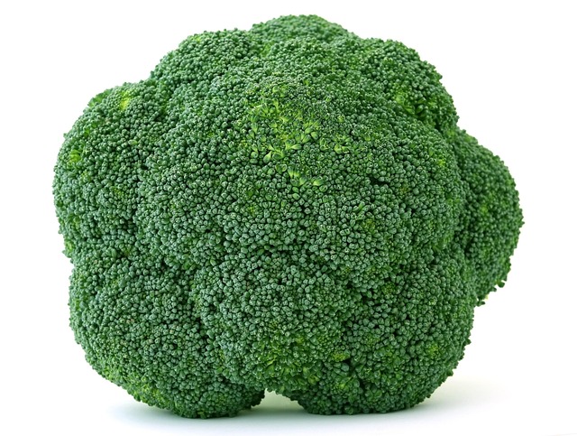 1239151